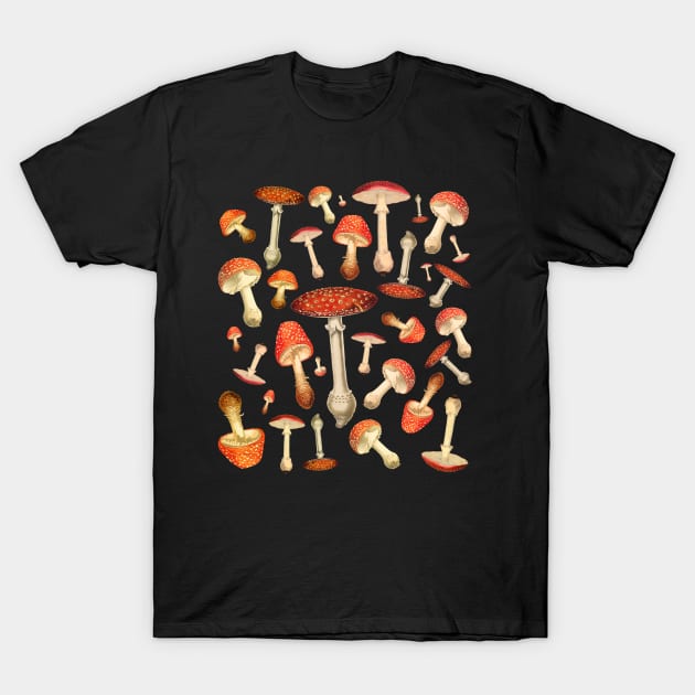 Fly Agaric Mushrooms, T-Shirt by TheGrinningSkull